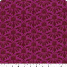 AMT Coneflower - Magenta